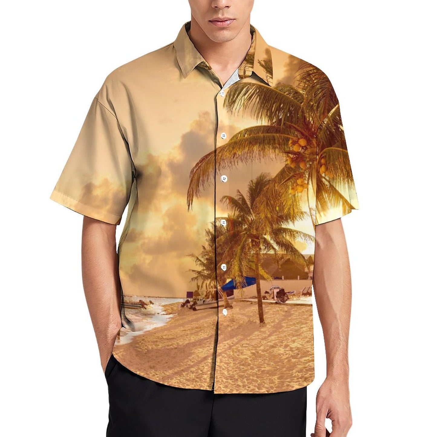 Men's Hawaiian Casual Short Sleeve Shirt 2306105392